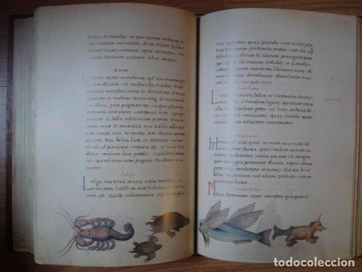 Livres: Libro de Animales de... Escrito en 1640, pintado en el siglo XVI. Este volumen facs&iacute;mil es una repro