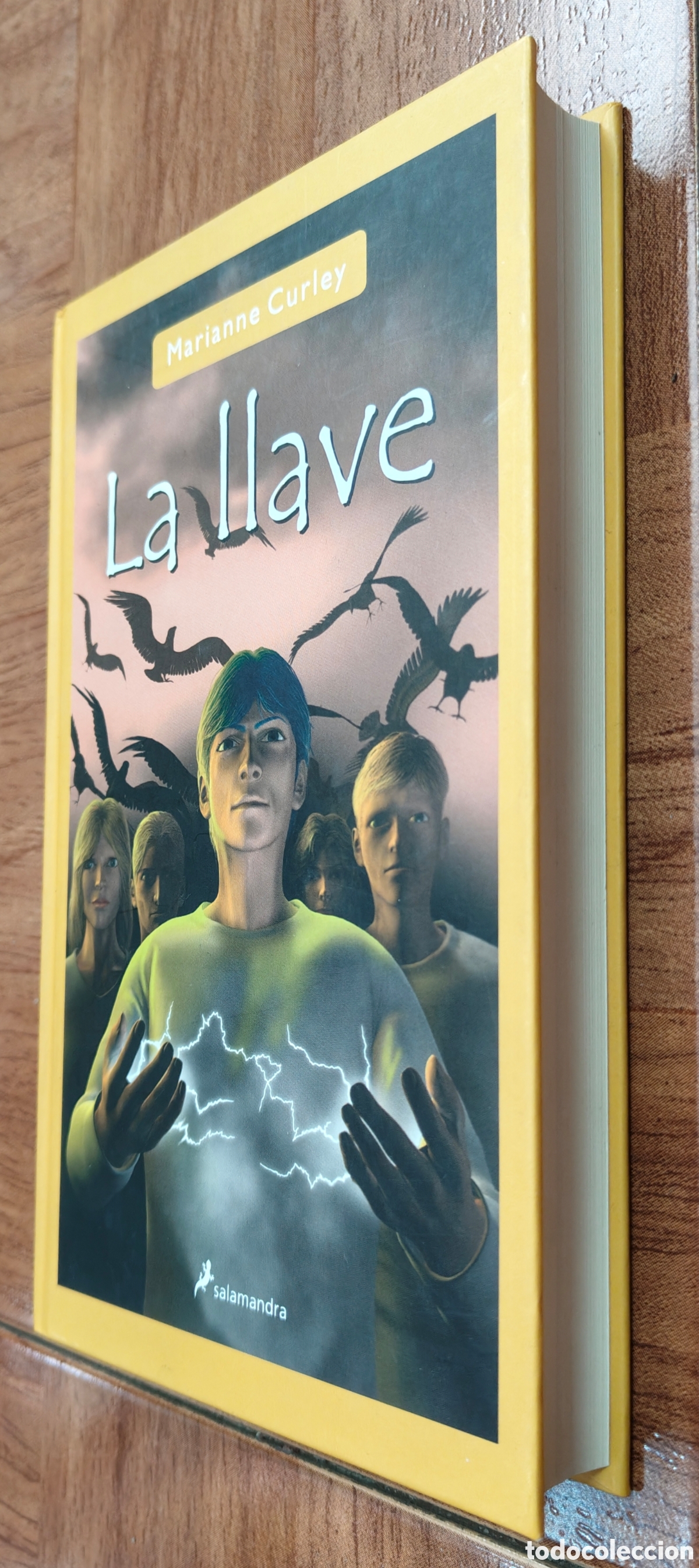 Libros: La Llave � Salamandra - Marianne Curley - Foto 2