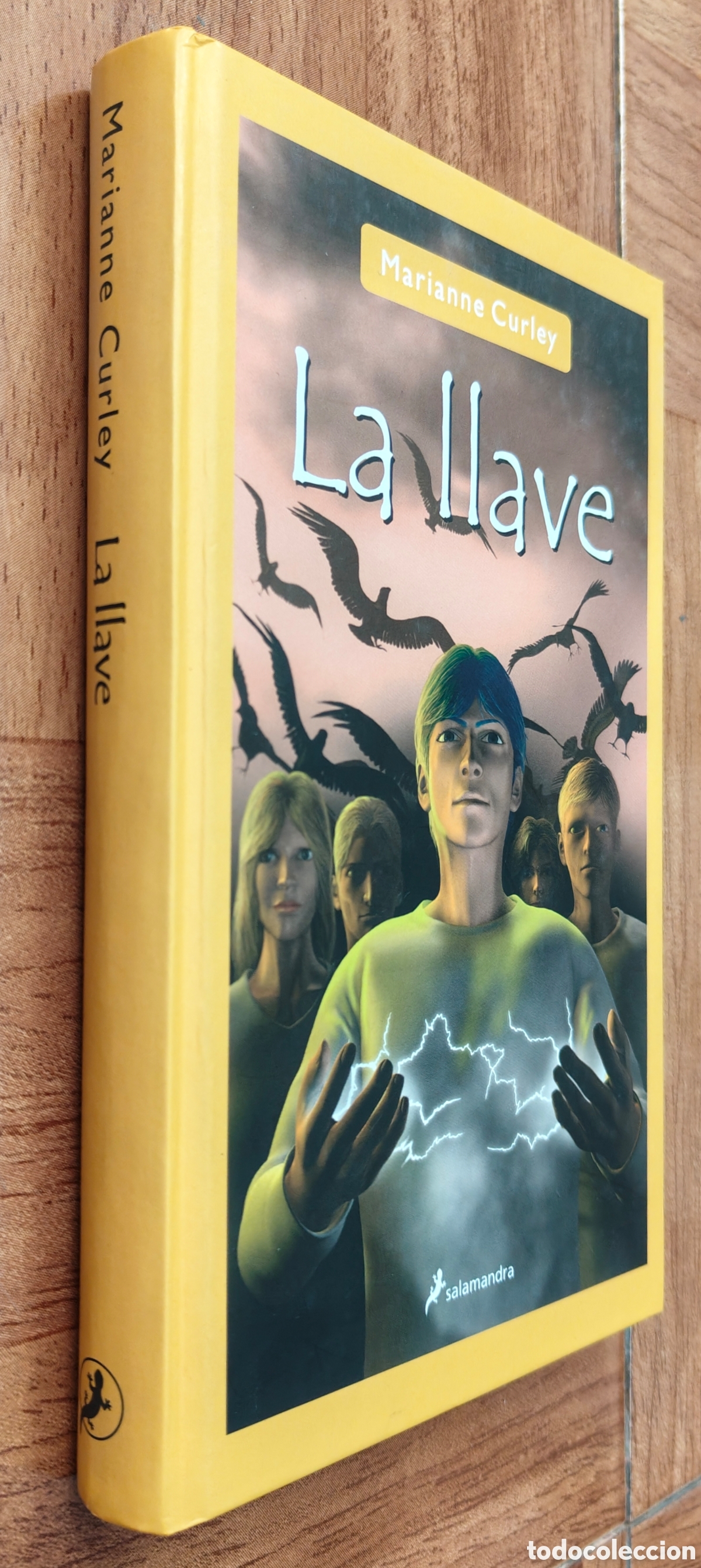 Libros: La Llave � Salamandra - Marianne Curley - Foto 1