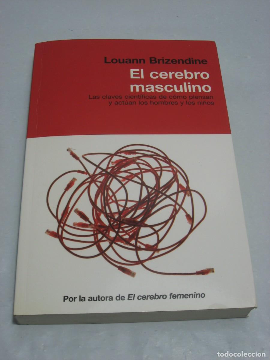 Libros: EL CEREBRO MASCULINO - Louann Brizendine - Foto 1