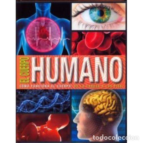 Libros: EL CUERPO HUMANO - AAVV - Foto 1