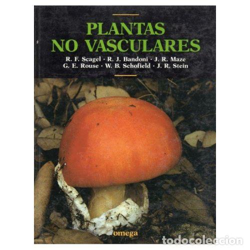 Libros: PLANTAS NO VASCULARES - AAVV - Foto 1