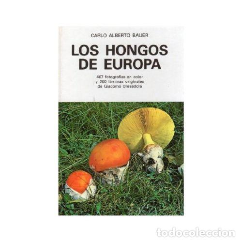 Libros: LOS HONGOS DE EUROPA - BAUER - Foto 1