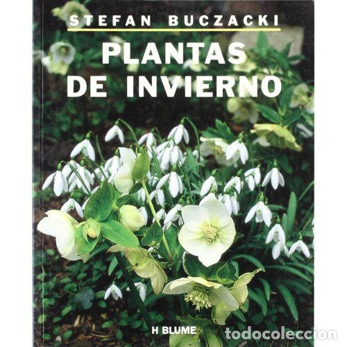 Libros: PLANTAS DE INVIERNO - BUCZACKI, STEFAN - Foto 1