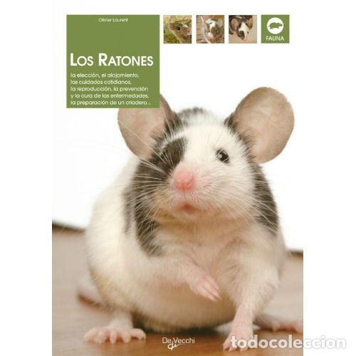 Libros: LOS RATONES - LAURENT, OLIVIER - Foto 1