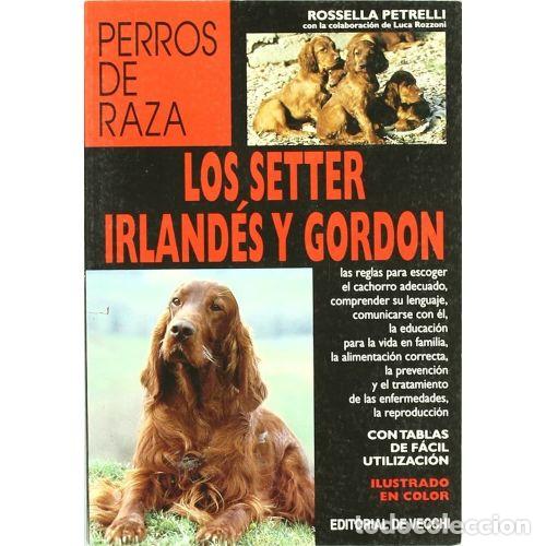 Libros: LOS SETTER IRLAND&Eacute;S Y GORDON - PETRELLI, ROSSELLA - Foto 1