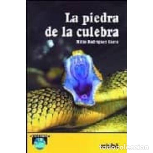 Libros: LA PIEDRA DE LA CULEBRA - RODR&Iacute;GUEZ CUETO, MILIO - Foto 1