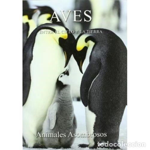 Libros: AVES - AAVV - Foto 1