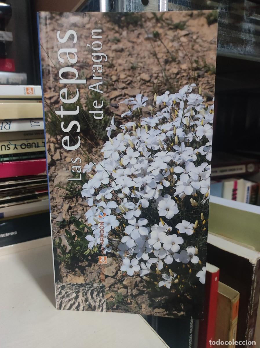 Libros: LAS ESTEPAS DE ARAGON - Foto 1
