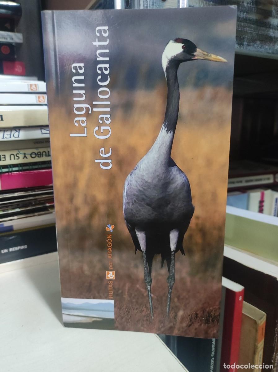Libros: LAGUNA DE GALLOCANTA - Foto 1