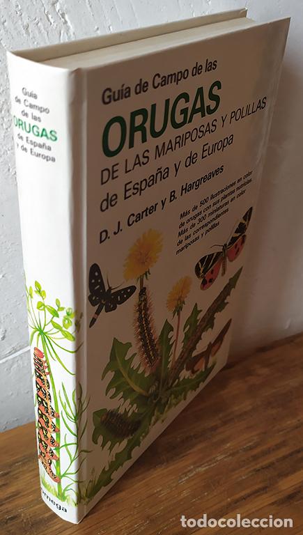 Livros em segunda m&atilde;o: GU&Iacute;A DE CAMPO DE LAS ORUGAS DE LAS MARIPOSAS Y POLILLAS DE ESPA&Ntilde;A Y DE EUROPA - D. J. CARTER Y B. HA