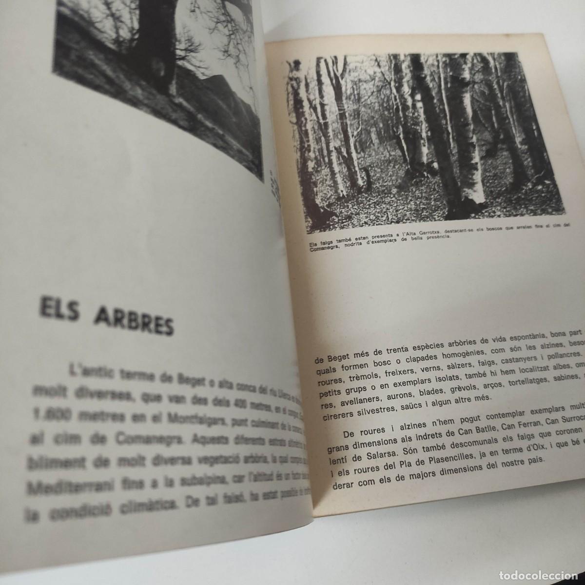 Libros: BEGET PER RAMON VINYETA 1978 - Foto 4