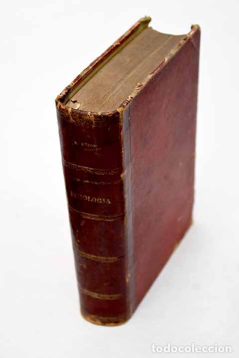 Libros: Compendio de Fisiolog&iacute;a.- H&eacute;don, Emmanuel - Foto 1
