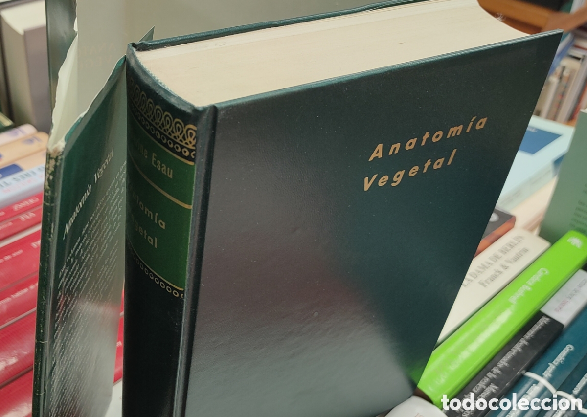Libros: ANATOMIA VEGETAL - ESAU,K. - Foto 3