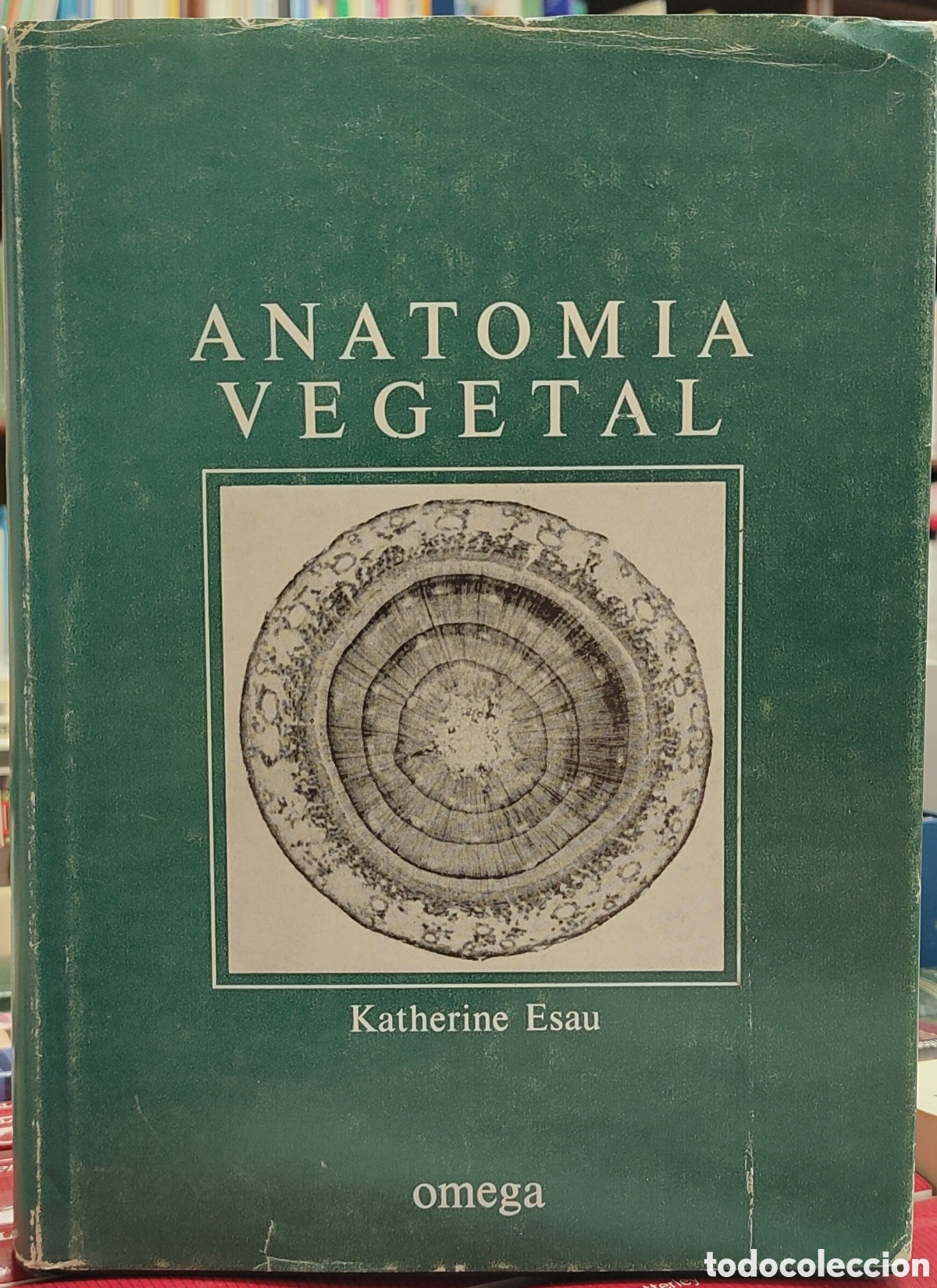 Libros: ANATOMIA VEGETAL - ESAU,K. - Foto 1