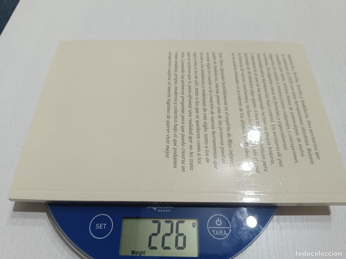 Libros: INFORME DEL ESTADO DE SEVILLA EN 2020 - Foto 5