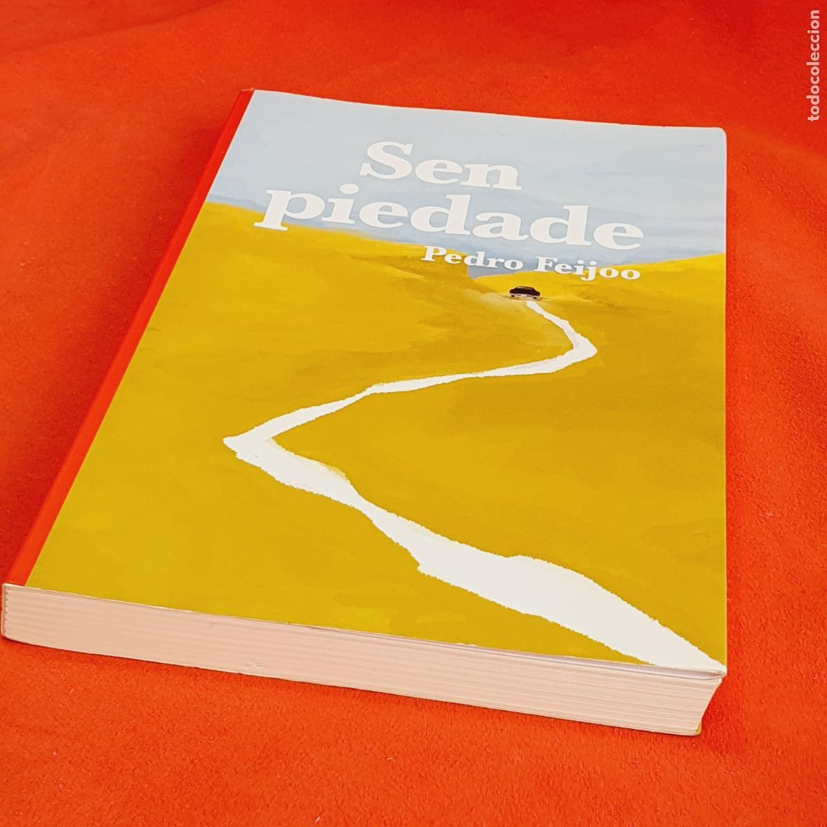 Libros: LIBRO-SEN PIEDADE-PEDRO FEIJ&Oacute;O- - Foto 2