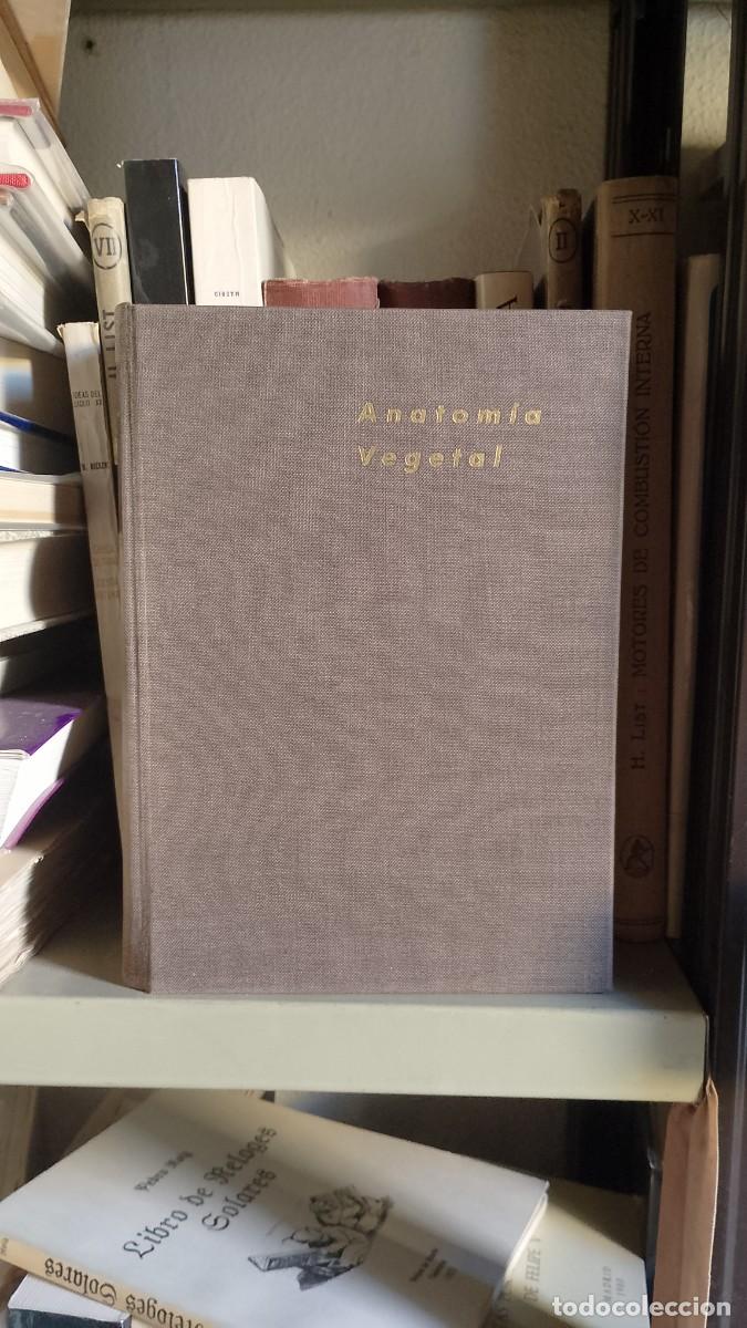 Libros: Katherine Esau - ANATOM&Iacute;A VEGETAL. - Foto 1