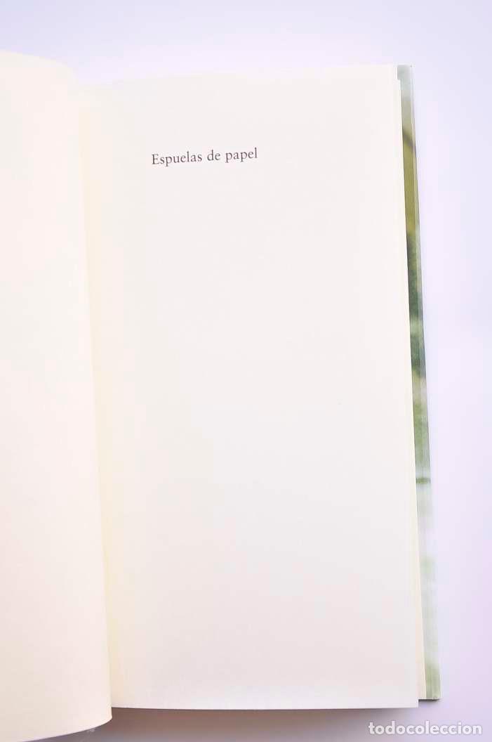 Libros: Espuelas de papel - MERINO, Olga - Foto 3
