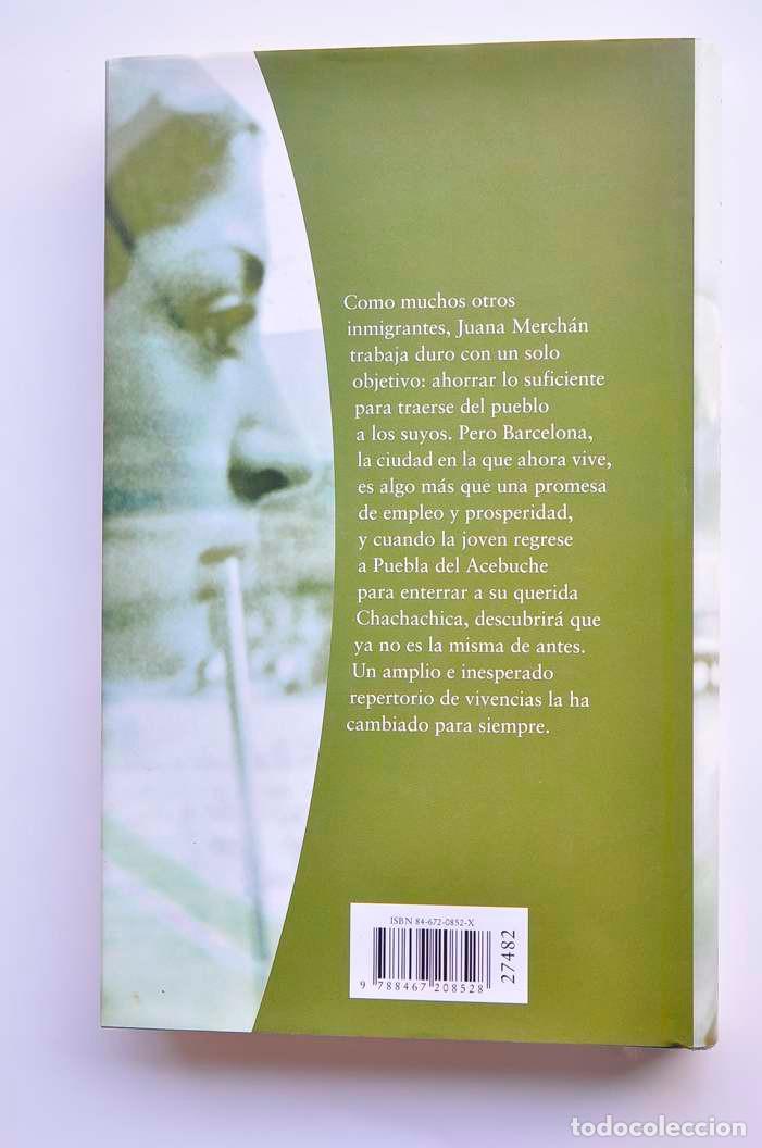 Libros: Espuelas de papel - MERINO, Olga - Foto 4