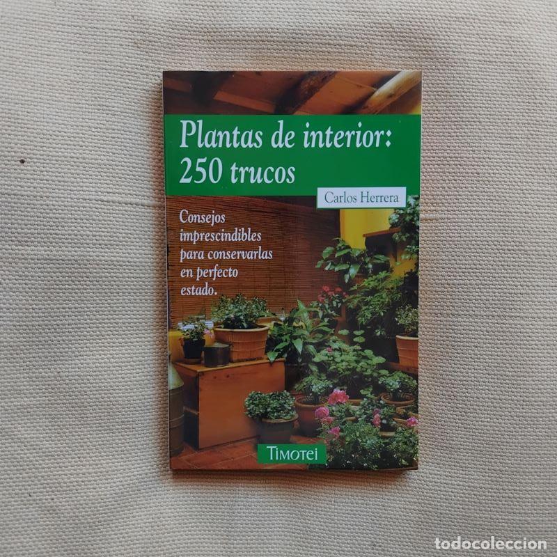 Libros: Plantas de interior: 250 trucos - Carlos Herrera - Foto 1