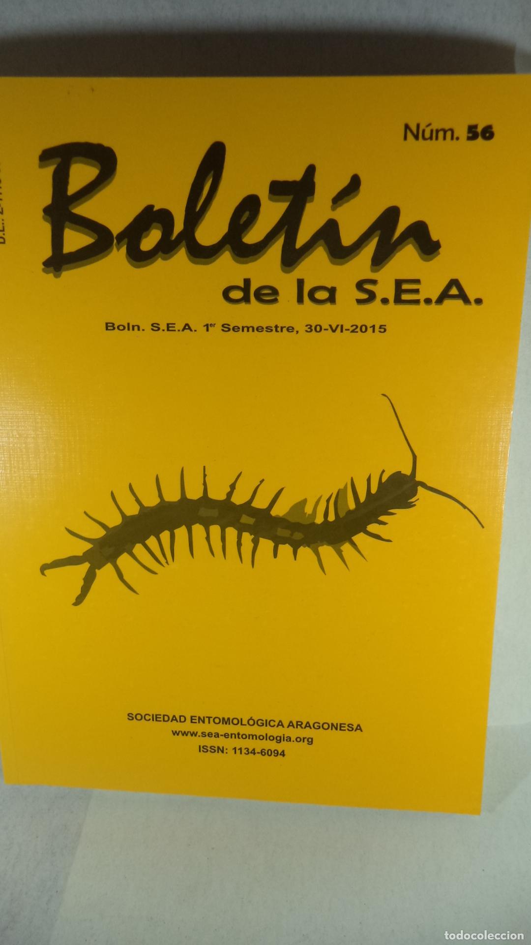 Libros: BOLETIN DE LA SEA N&ordm; 56 - VARIOS - Foto 1