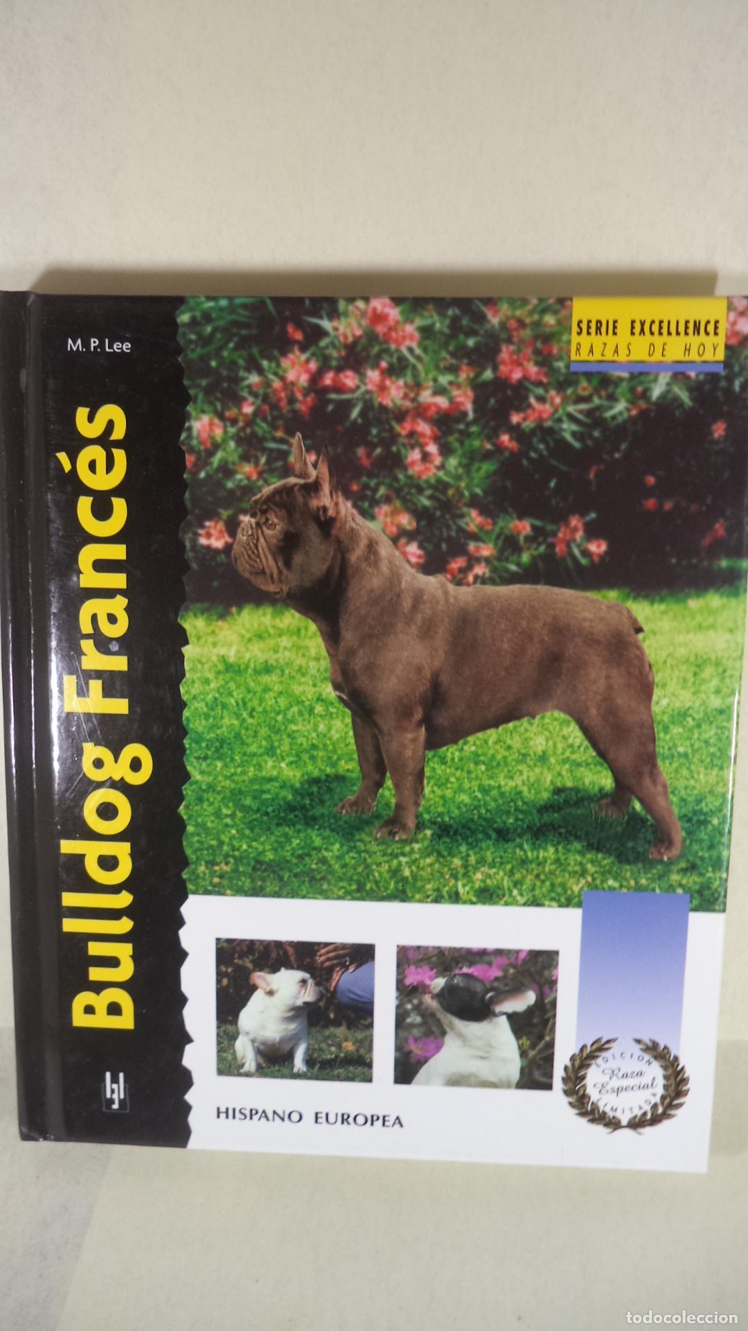 Libros: BULLDOG FRANCES - M P LEE - Foto 1