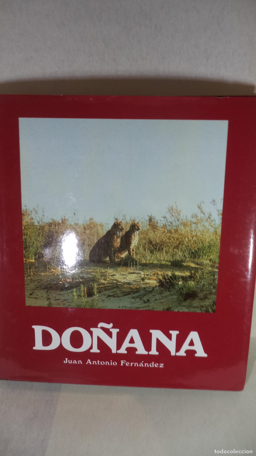 Libros: DO&Ntilde;ANA - JUAN ANTONIO FERNANDEZ - Foto 1