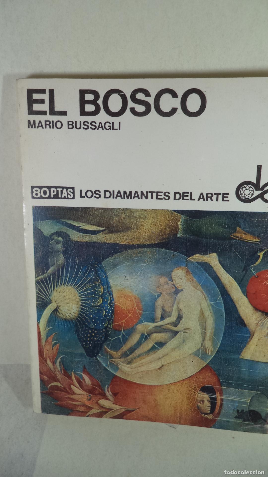 Libros: EL BOSCO - MARIO BUSSAGLI - Foto 1