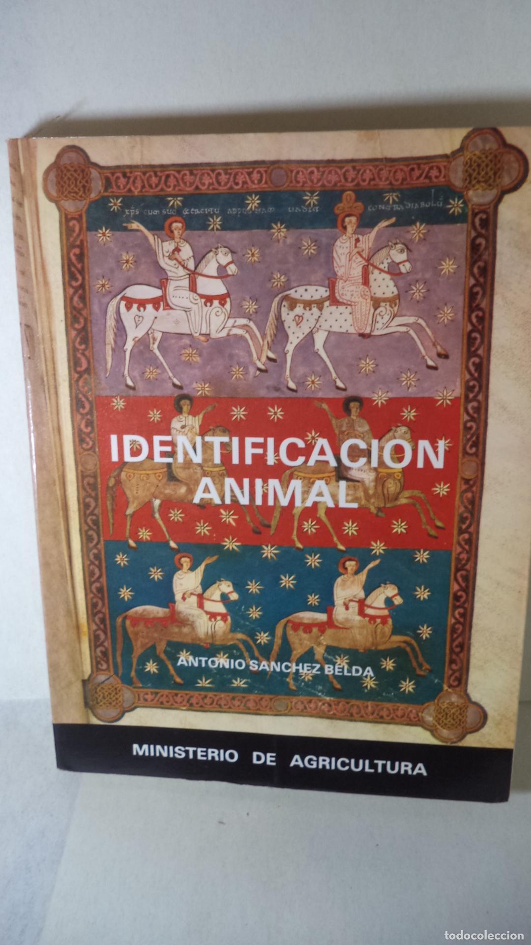 Libros: IDENTIFICACION ANIMAL - ANTONIO SANCHEZ BELDA - Foto 1