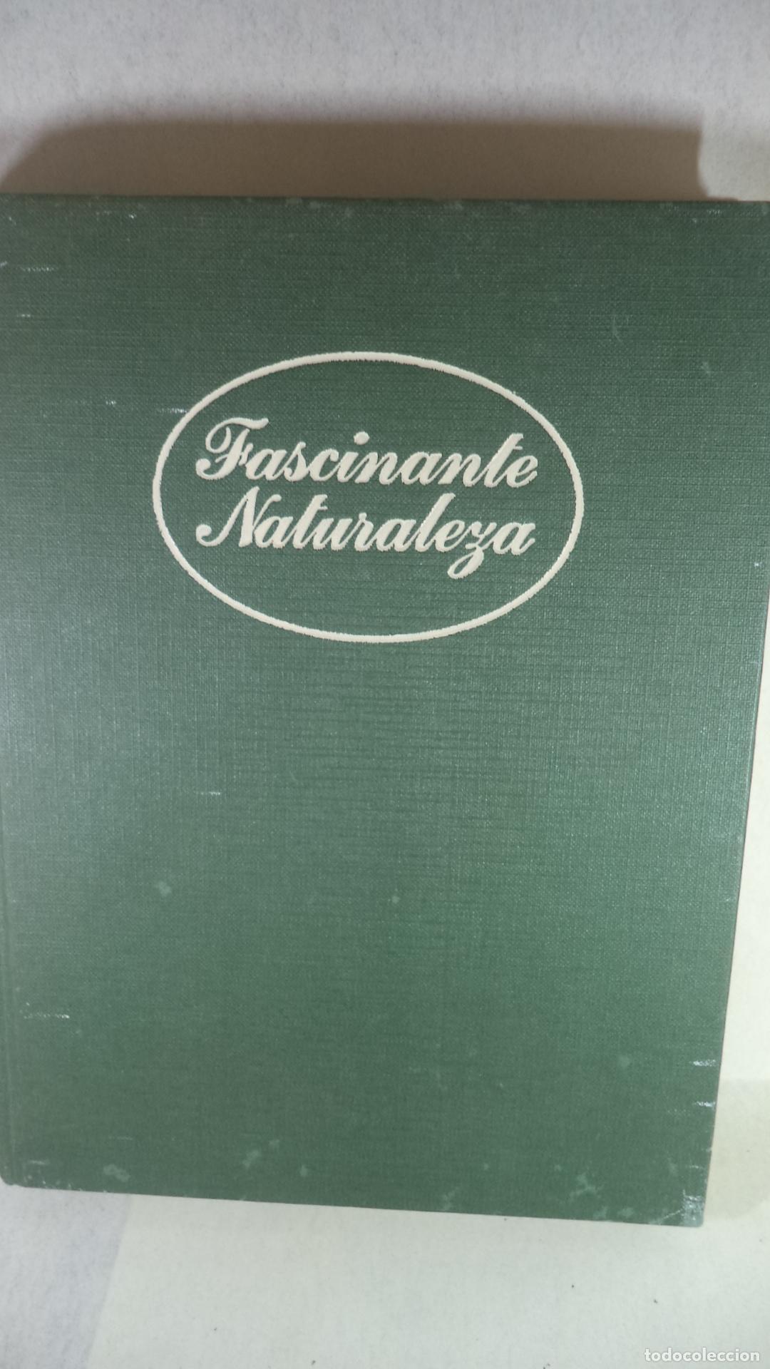 Libros: FASCIANTE NATURALEZA - VARIOS - Foto 1