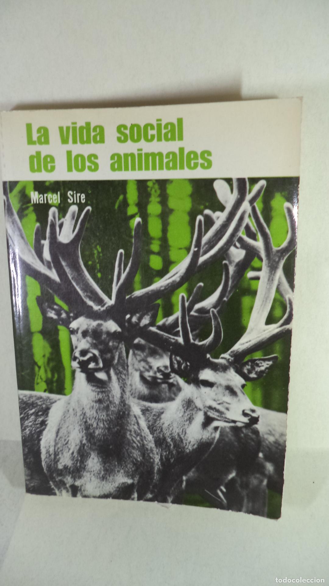 Libros: LA VIDA SOCIAL DE LOS ANIMALES - MARCEL SIRE - Foto 1
