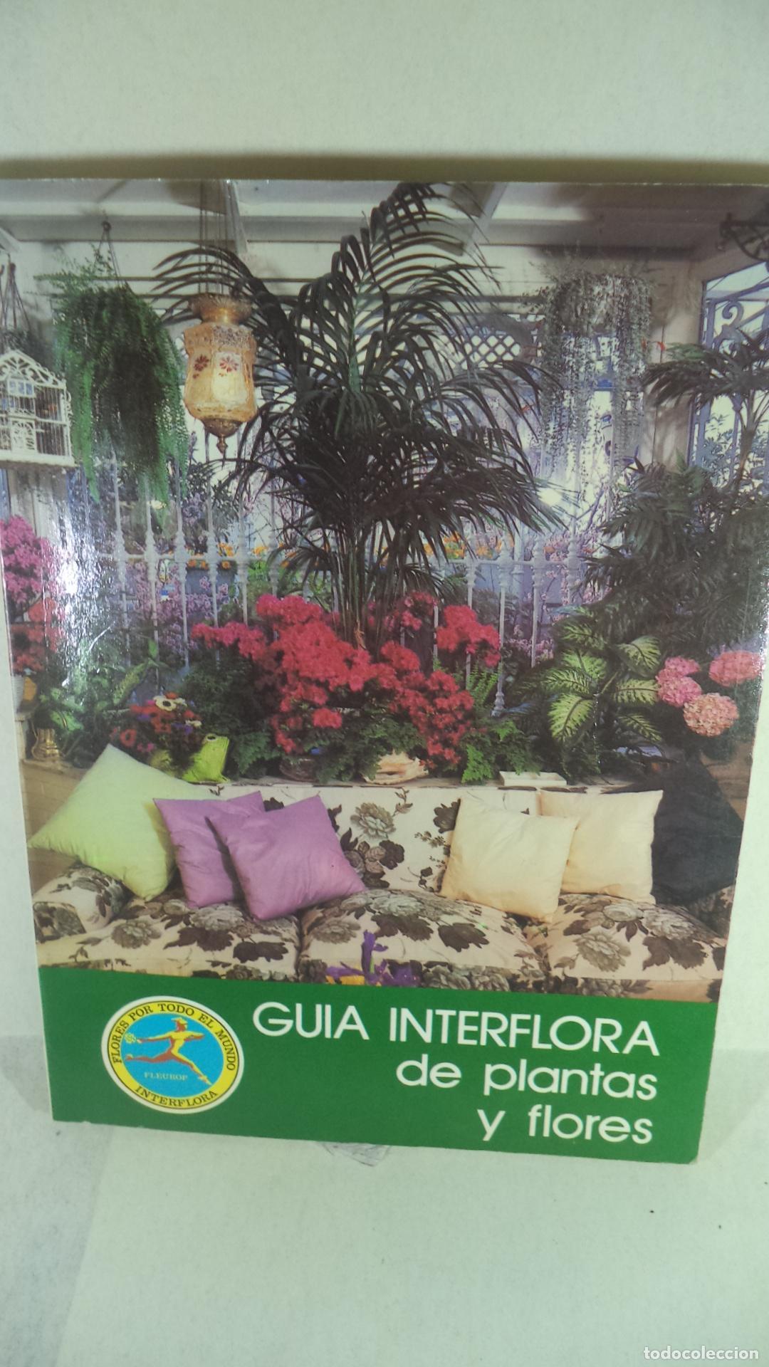 Libros: GUIA INTERFLORA DE PLANTAS Y FLORES - VARIOS - Foto 1