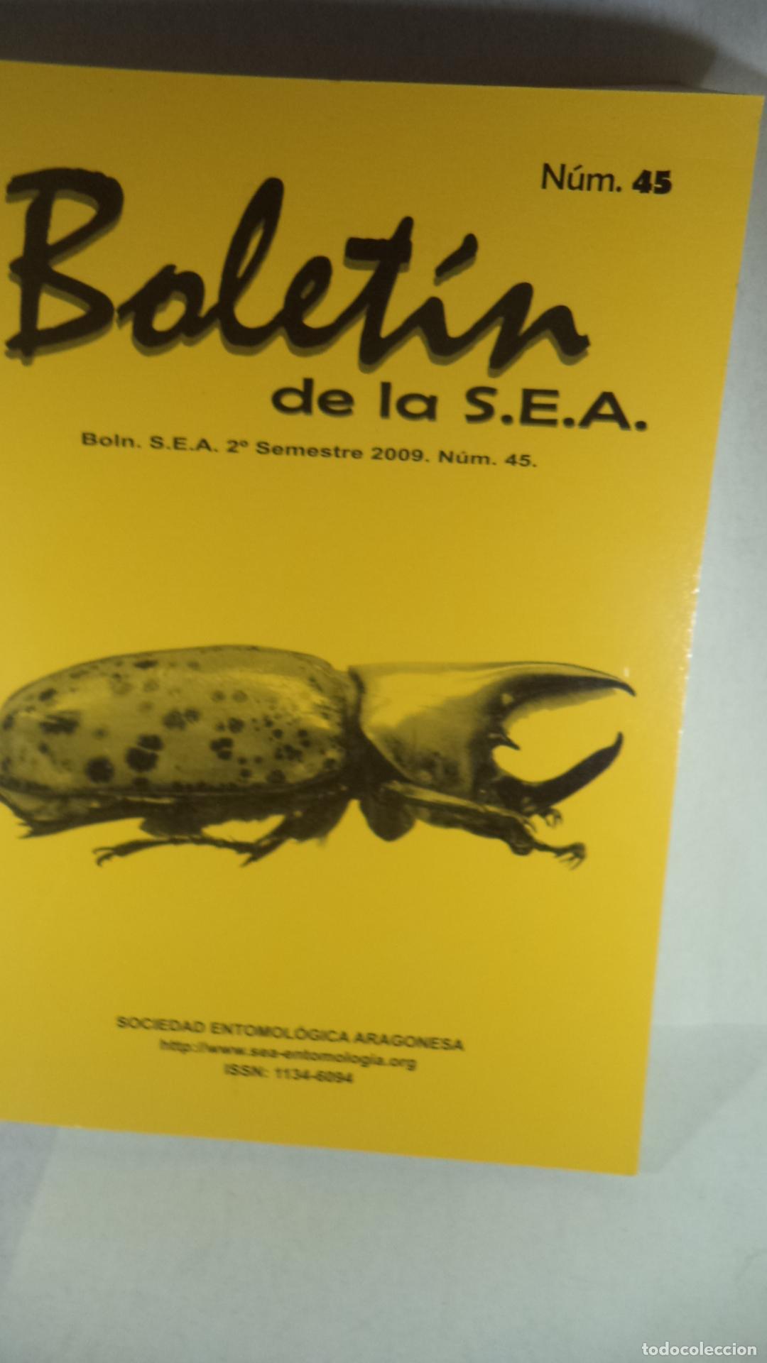 Libros: BOLETIN DE LA SEA N&ordm; 45 - VARIOS - Foto 1