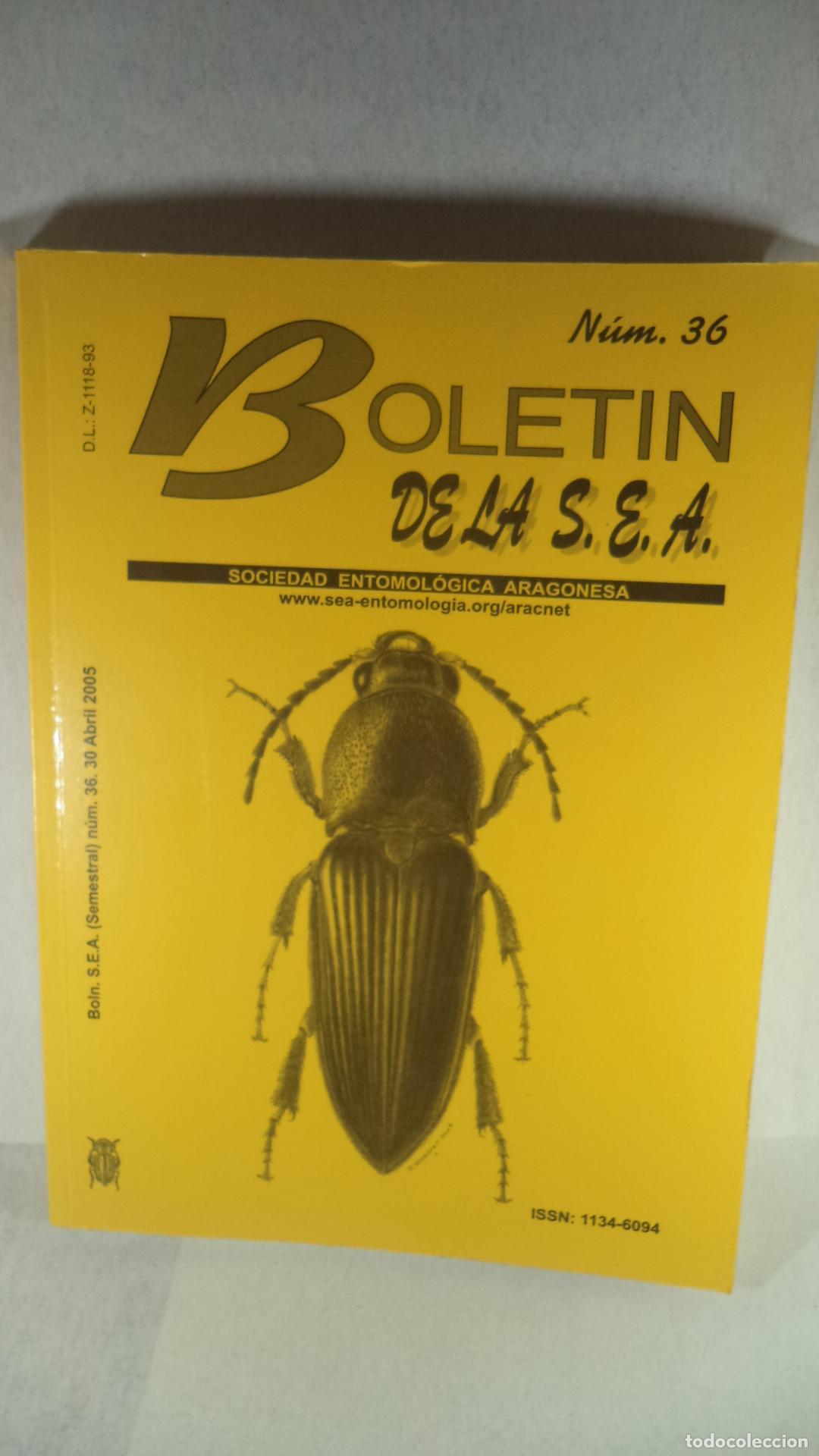 Libros: BOLETIN DE LA SEA N&ordm;36 - VARIOS - Foto 1