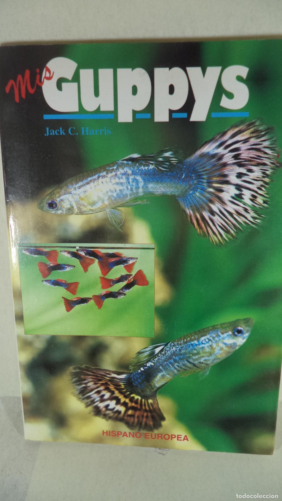 Libros: MIS GUPPYS - JACKC HARRIS - Foto 1