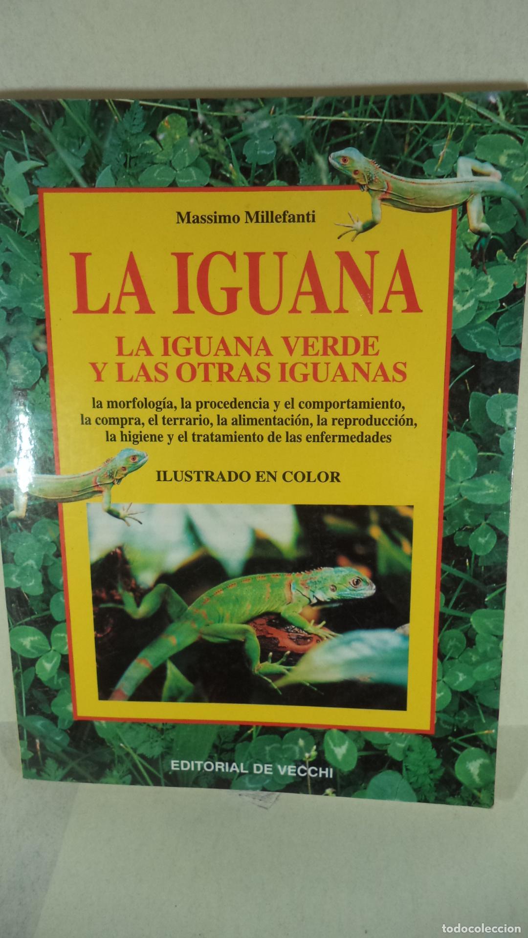 Libros: LA IGUANA - MASSIMO MILLEFANTI - Foto 1