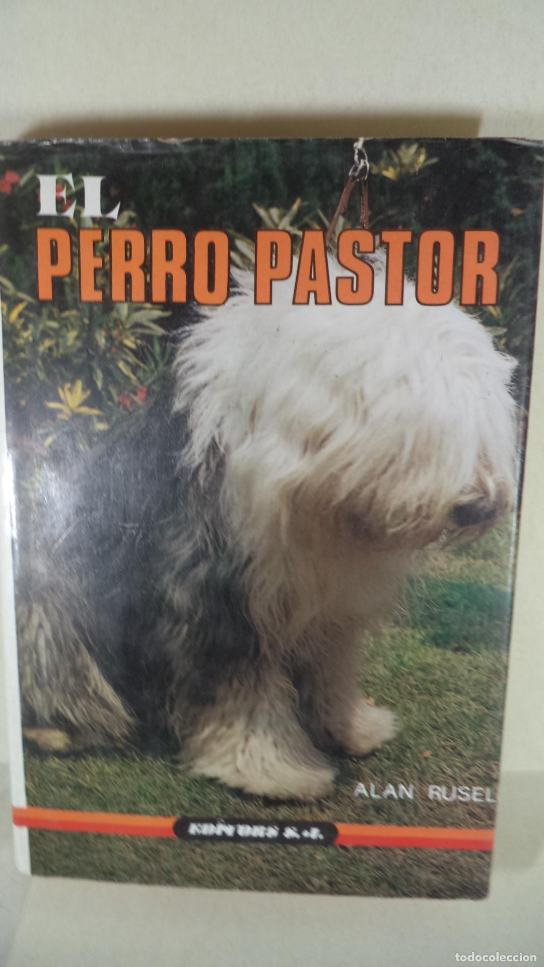 Libros: EL PERRO PASTOR - ALAN RUSEL - Foto 1
