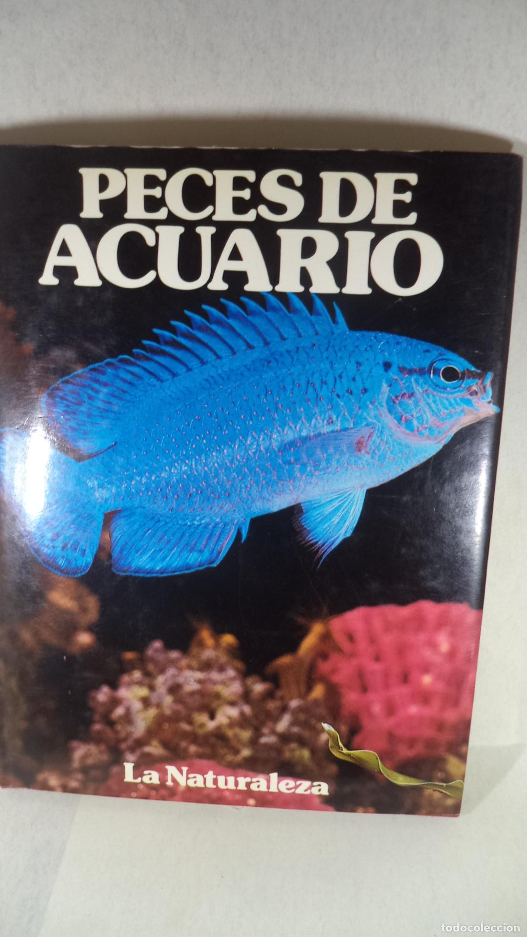 Libros: PECES DE ACUARIO - JANE BURTON - Foto 1