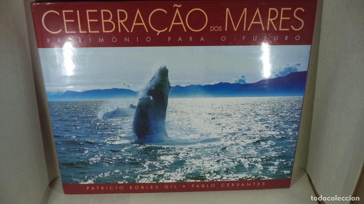 Libros: CELEBRA&ccedil;AO DOS MARES - PATRICIO ROBLES GIL PABLO CERVANTES