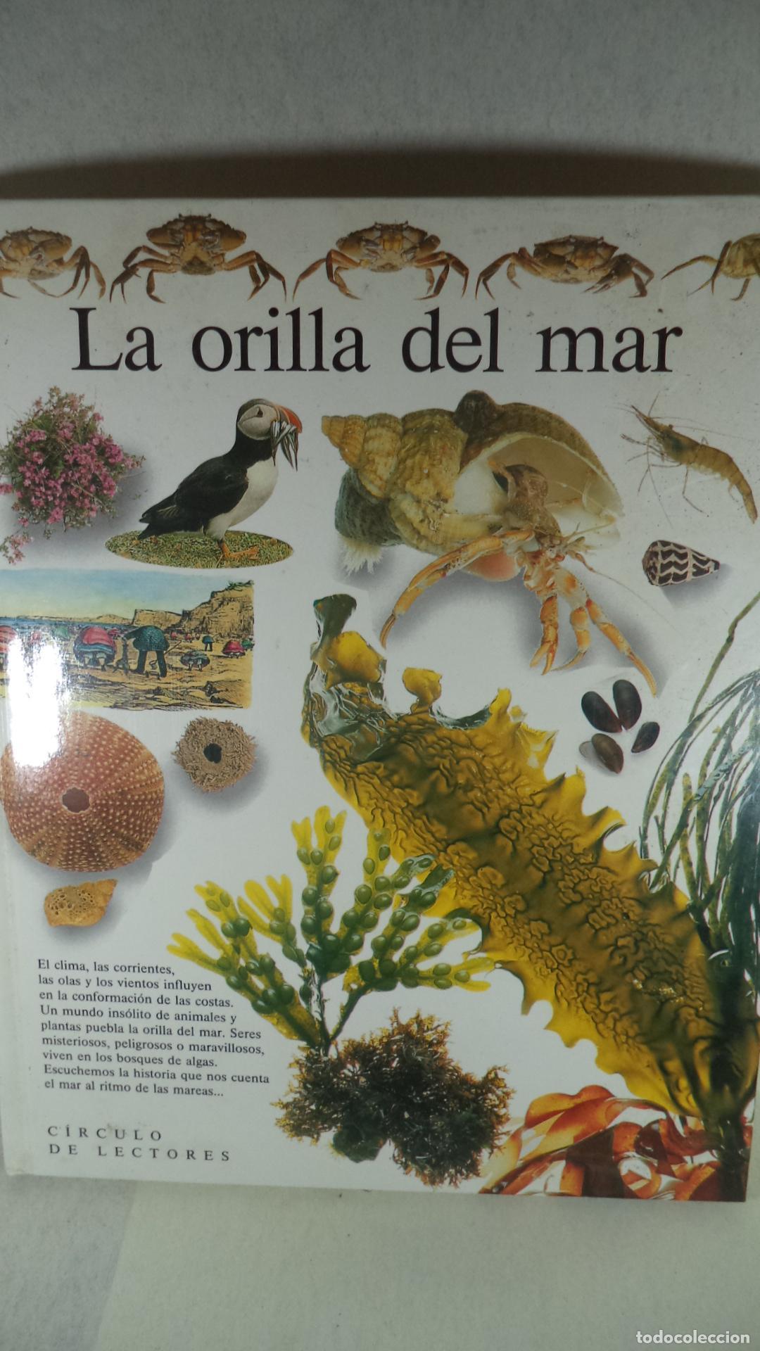 Libros: LA ORILLA DEL MAR - STEVE PARKER - Foto 1