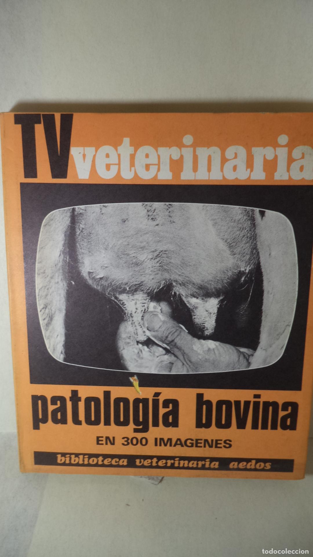 PATOLOGIA BOVINA