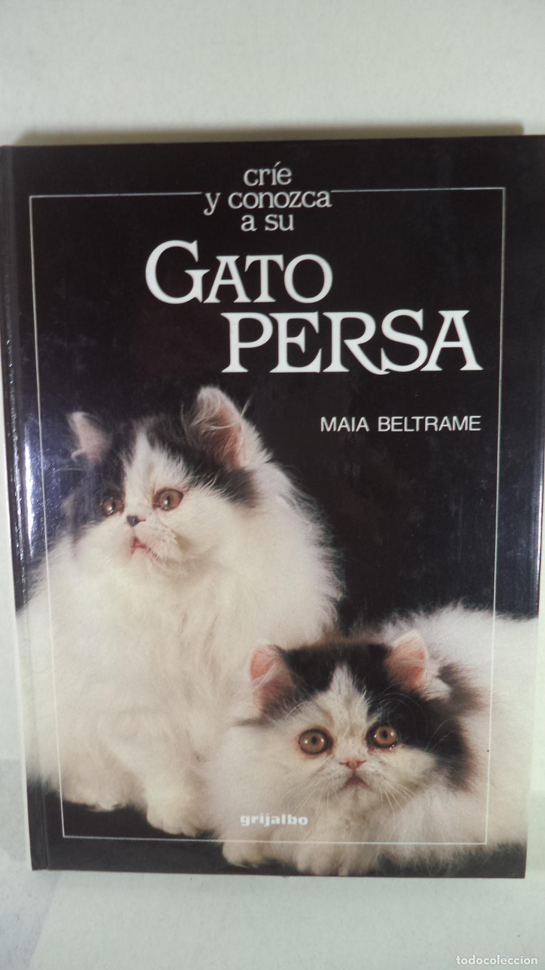 Libros: GATO PERSA - MAIA BELTRAME - Foto 1