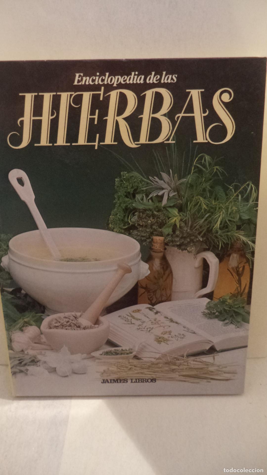 Libros: ENCICLOPEDIA DE LA HIERBAS - VARIOS - Foto 1