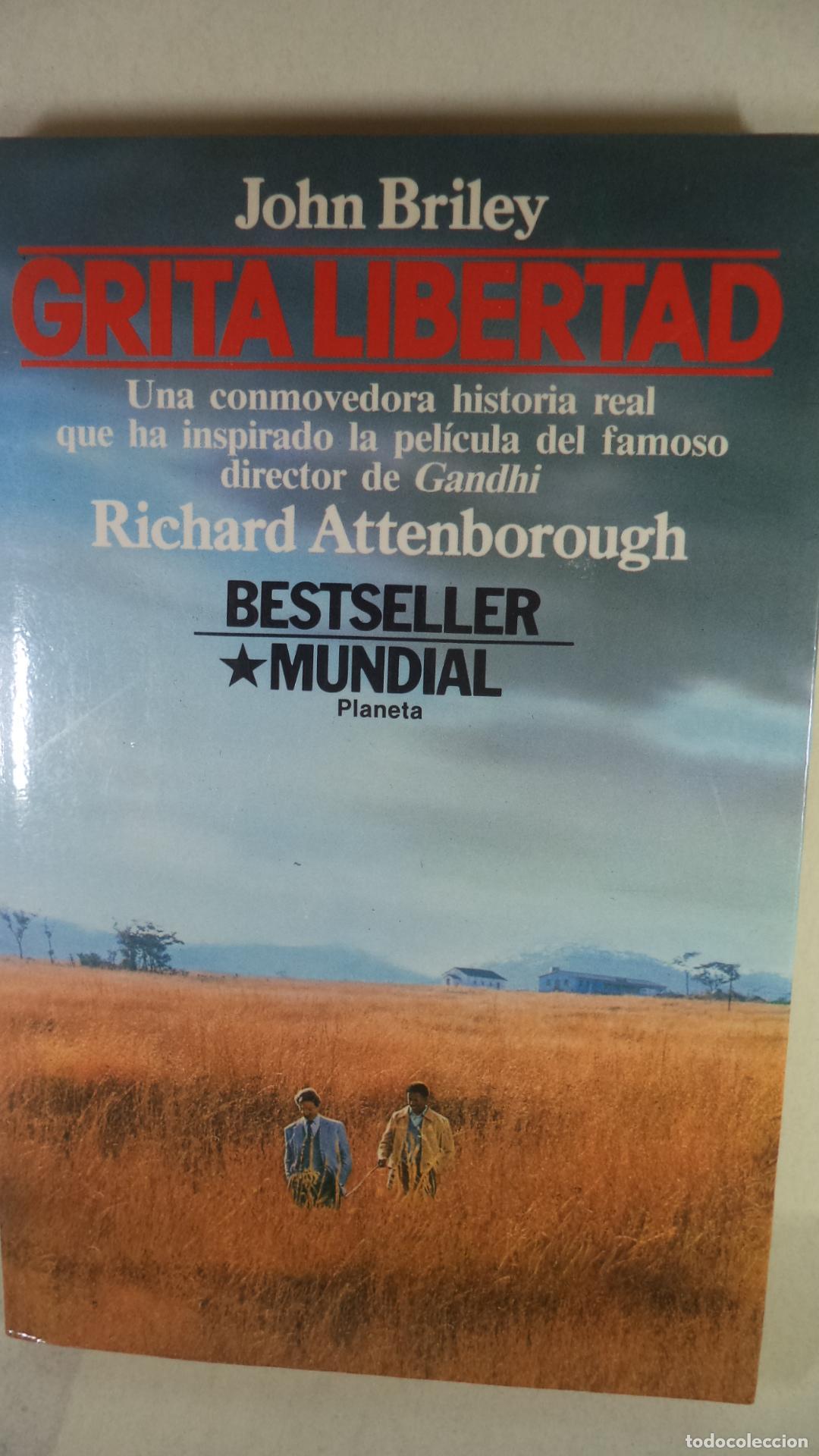 Libros: GRITA LIBERTAD - JOHN BRILEY - Foto 1