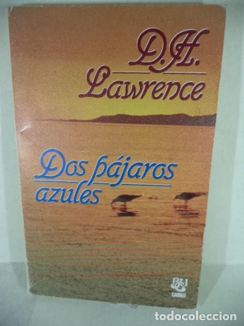 Libros: DOS PAJAROS AZULES - D H LAWRENCE - Foto 1