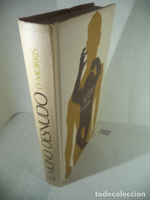 Libros: EL MONO DESNUDO - DESMOND MORRIS - Foto 1