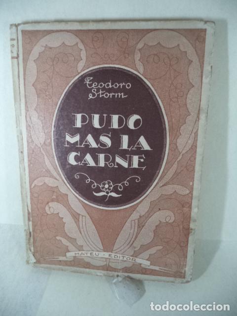 Libros: PUDO MAS LA CARNE - TEODORO STORM - Foto 1