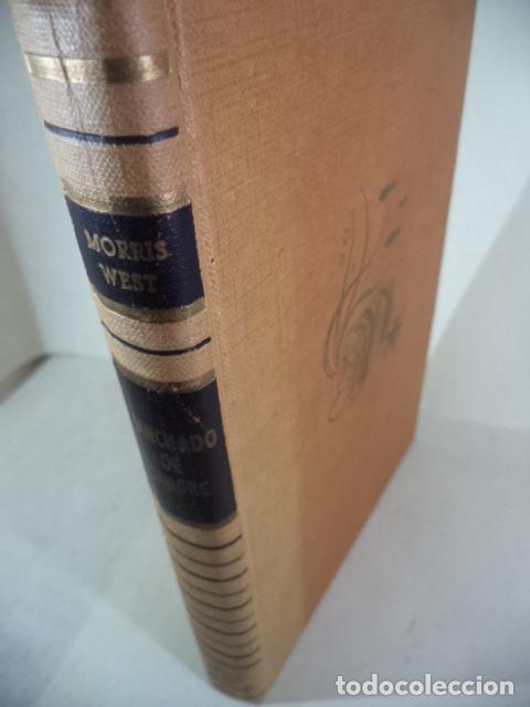Libros: MANCHADO DE SANGRE - MORRIS WEST - Foto 1