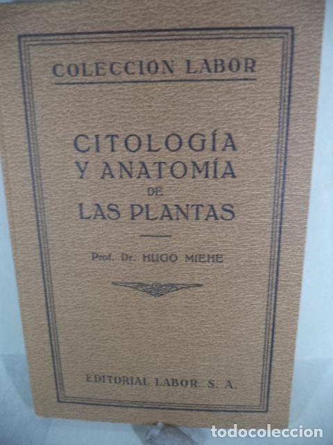 Libros: CITOLOGIA Y ANATOMIA DE LAS PLANTAS - HUGO MIEHE - Foto 1